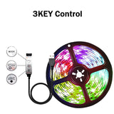 LED Strip Light RGB 1-30M 5050 15/LED USB Bluetooh Flexible Lamp Tape with Remote Control for TV Backlight Home Party Decoration